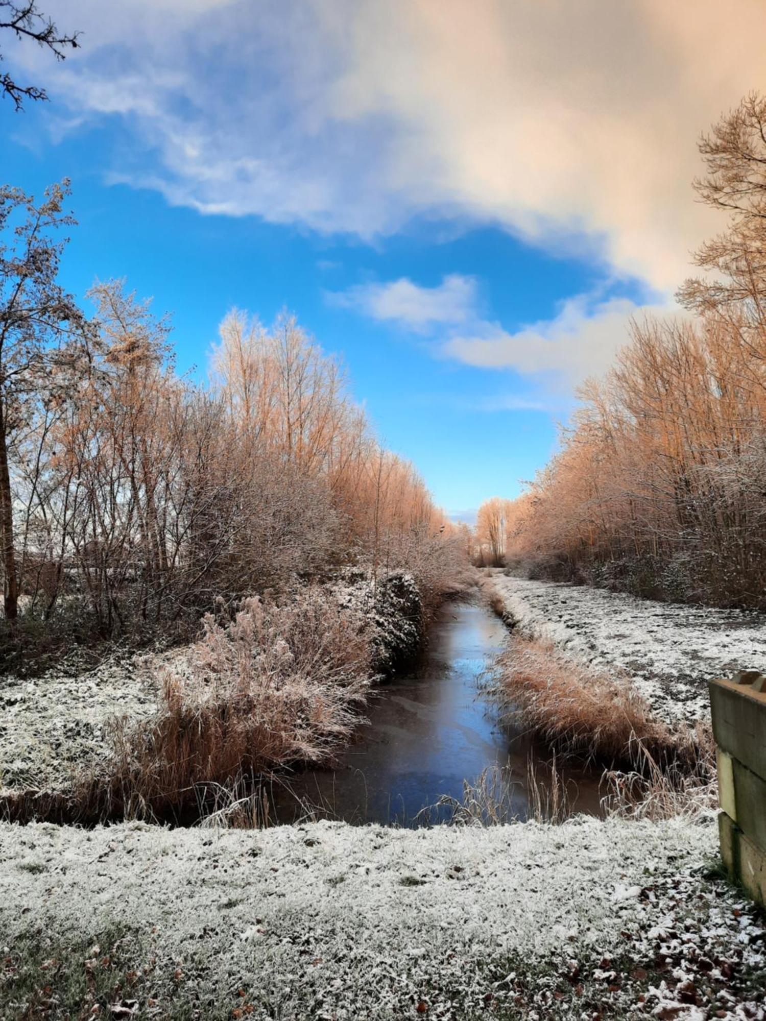 'T Wad Villa Tzummarum Exteriör bild